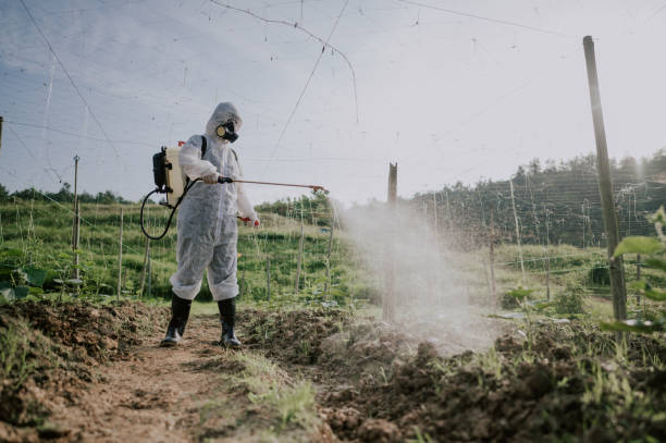 Best Mosquito Control Services  in Trooper, PA