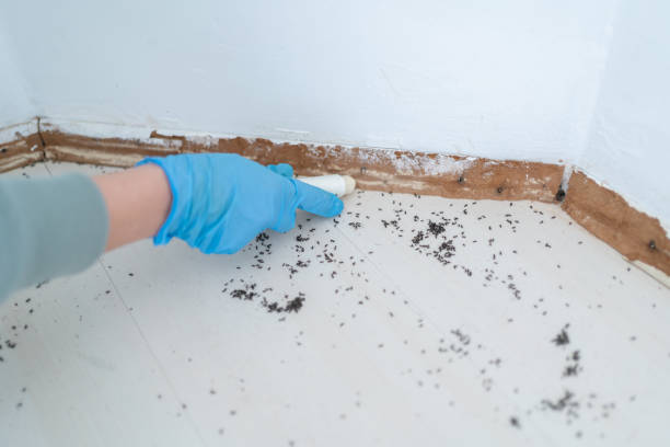 Best Pest Prevention Services  in Trooper, PA
